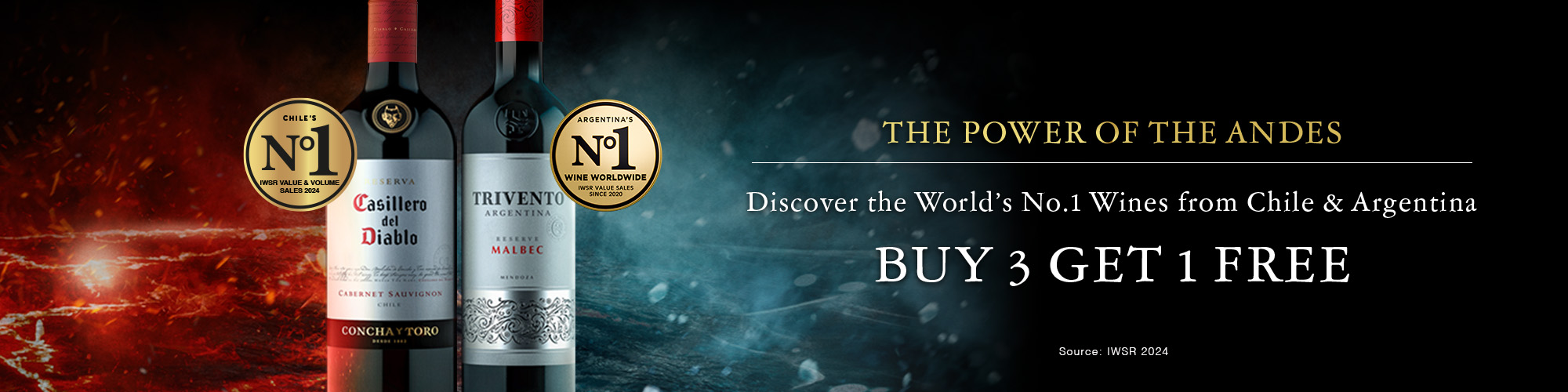 Power of the Andes - Banner 4